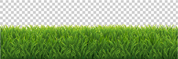 草边界孤立透明背景图片下载