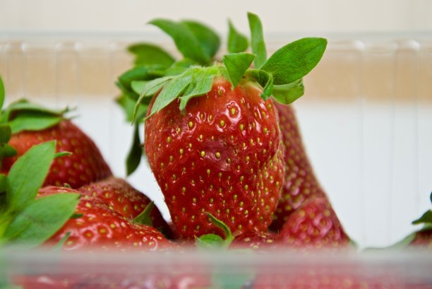 篮子的草莓图片下载