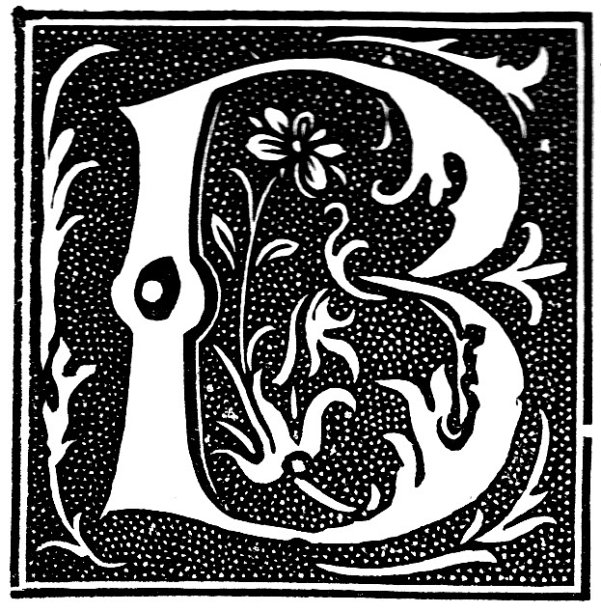 维多利亚时代的黑白版画，首字母B，描绘有黑色背景的花式树叶;1892年英语了图片下载