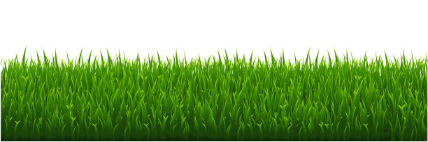 绿草白色背景图片下载