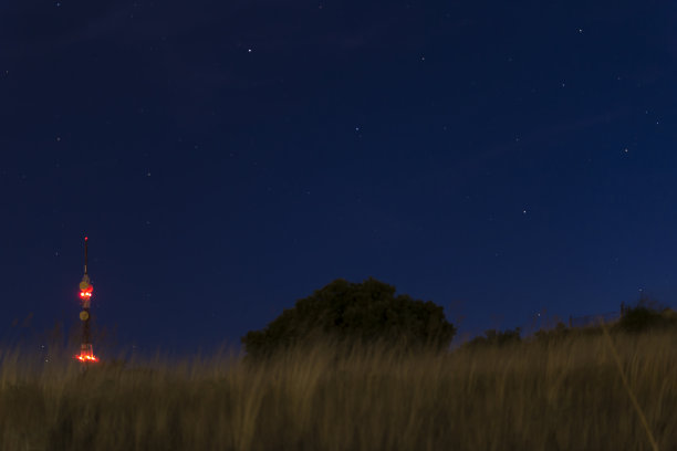 看星空，草儿随空气动图片下载