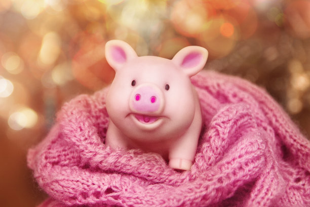 微笑的橡胶猪玩具站在羊毛镂空围巾上，背景是黄色的散焦图片下载