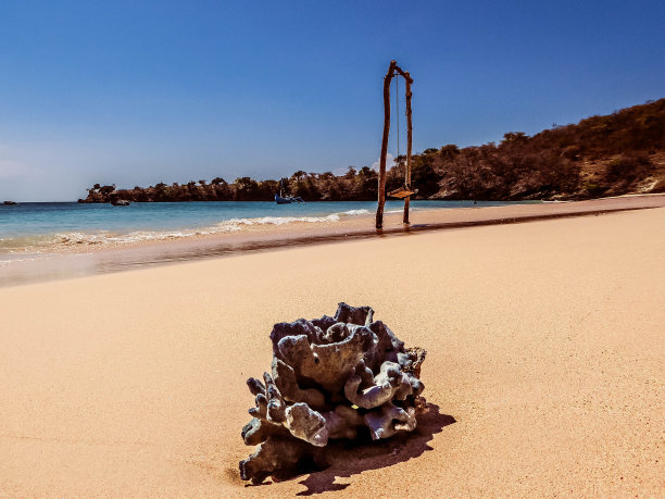 印度尼西亚——海滩上的珊瑚和秋千图片下载