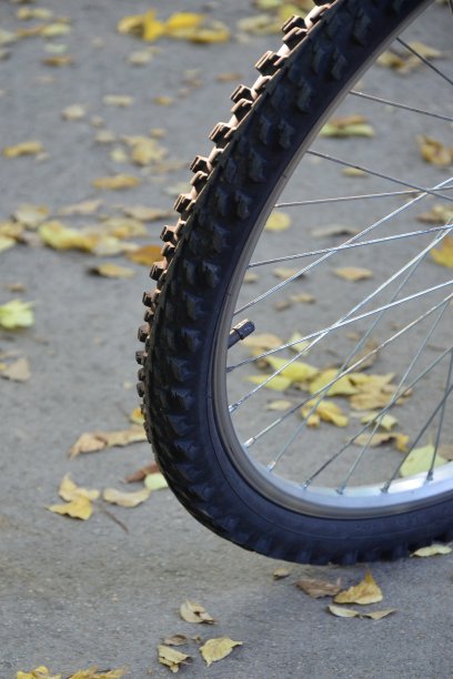 带轮胎的自行车轮图片下载