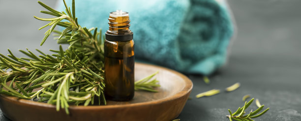水疗静物与迷迭香精油，迷迭香药草和毛巾，有机护肤成分，健康和水疗治疗设置图片下载