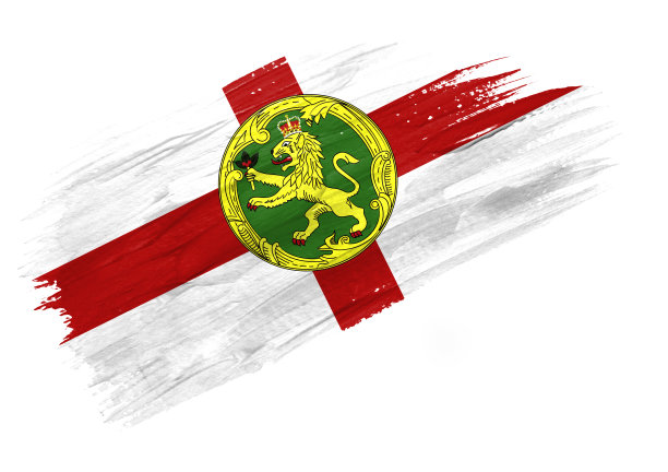 刷奥尔德尼旗。手绘风格插图与垃圾摇滚效果图片下载