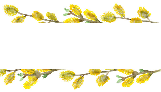 水彩柳枝上白色的背景为美丽的设计，柳树为复活节图片下载