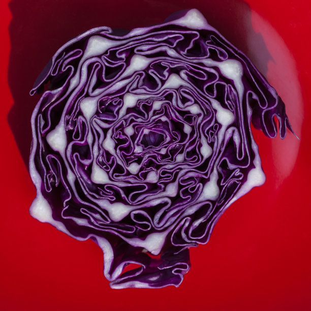 红球甘蓝抽象图片下载