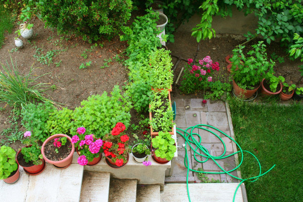 美丽的夏天的花园图片下载
