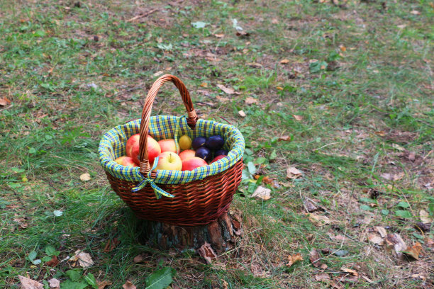 草地上美丽的水果篮。图片下载