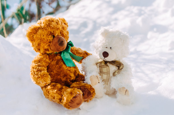 泰迪熊在冬天的花园里图片下载