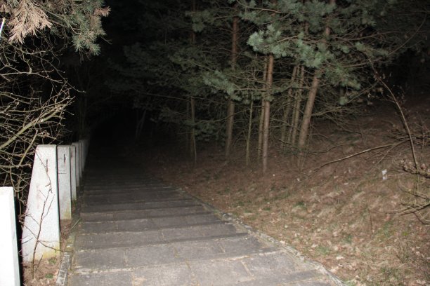 哪儿也没走的梯子图片下载