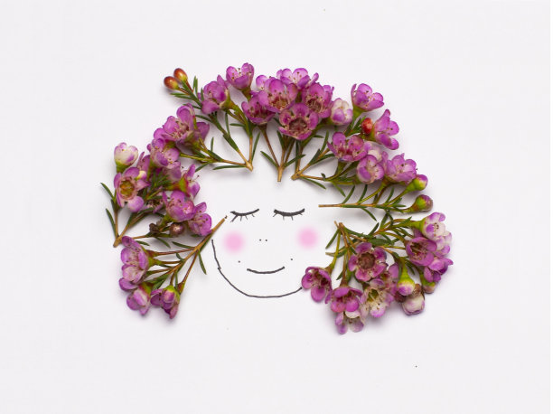 花插图图片下载