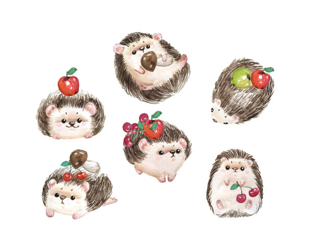 刺猬。自然的背景与可爱的水彩卡通人物。——说明图片下载