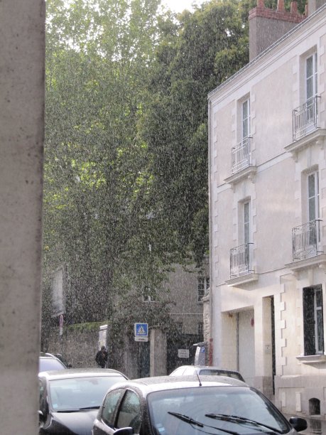 雨中的城市图片下载