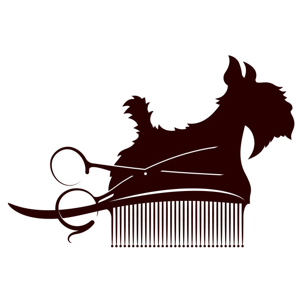 狗用剪刀和梳子图片下载
