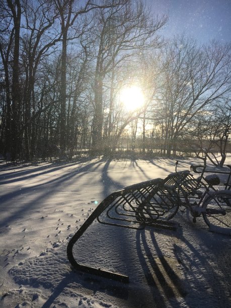 暴雪后图片下载