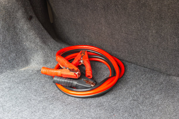 汽车充电器需要在汽车中携带该设备图片下载