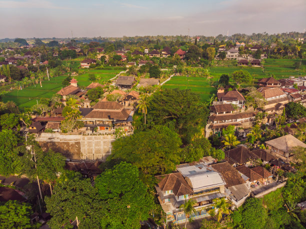 照片来自乌布无人机。印尼巴厘岛乌布的空中风景图片下载