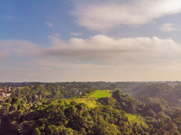 照片来自乌布无人机。印尼巴厘岛乌布的空中风景图片下载