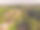 照片来自乌布无人机。印尼巴厘岛乌布的空中风景图片下载