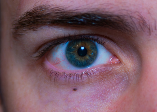 绿色的眼睛图片下载