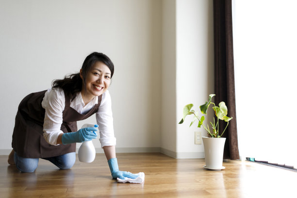 打扫卫生的女人图片下载