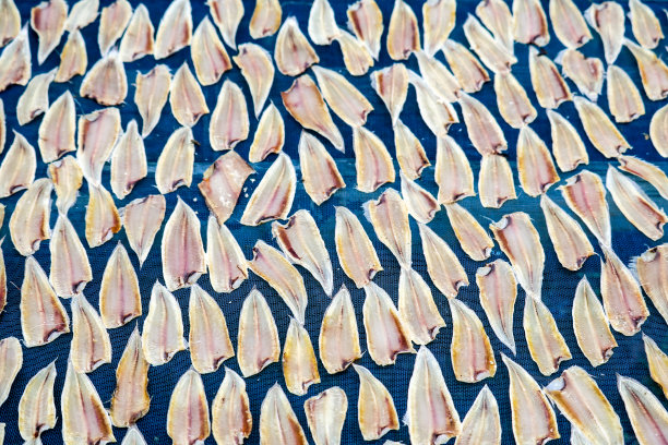 深干鱼是保存的，你应该在吃之前煮熟图片下载