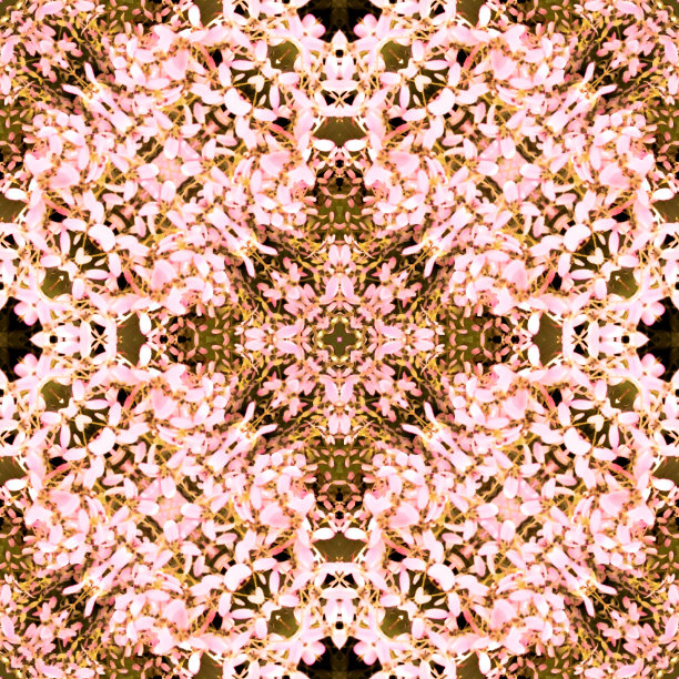 无缝模式与植物。剪贴艺术设计图案背景和纹理墙纸。无缝的平面设计。重复的模式。复古碎花背景。图片说明，平面设计图片下载