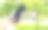 近距离使用手机上的健康跟踪应用程序与模糊的公共公园背景散景光。健康的生活方式与健身科技理念。图片下载