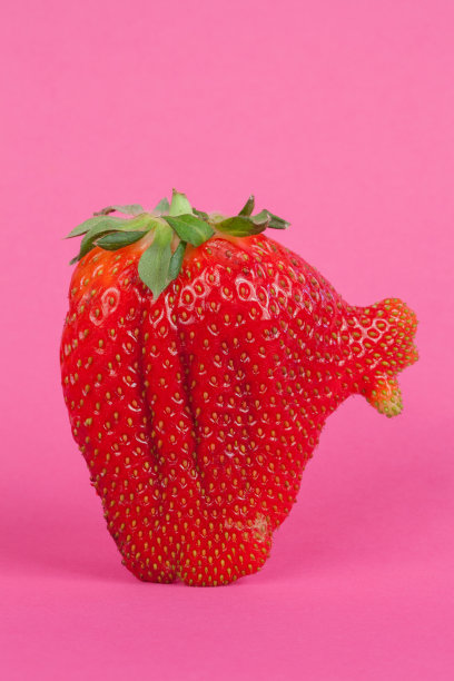 草莓孤立在粉红色的背景，近距离观看图片下载
