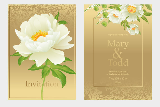 一套卡片，婚礼请柬。花的矢量插图。图片下载