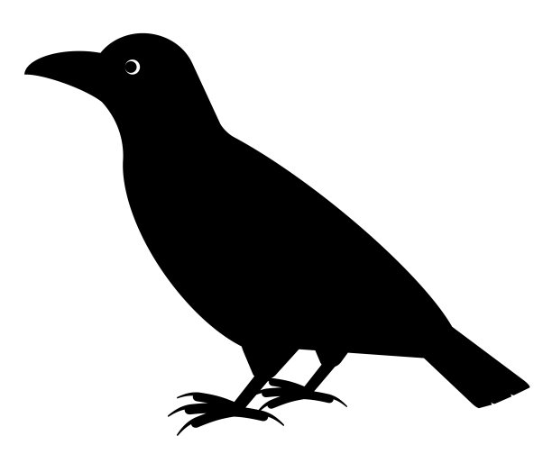 乌鸦图片下载
