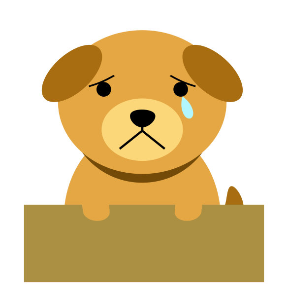 流浪狗图片下载