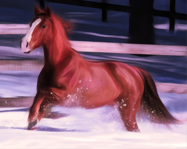 红马冬天飞奔图片下载