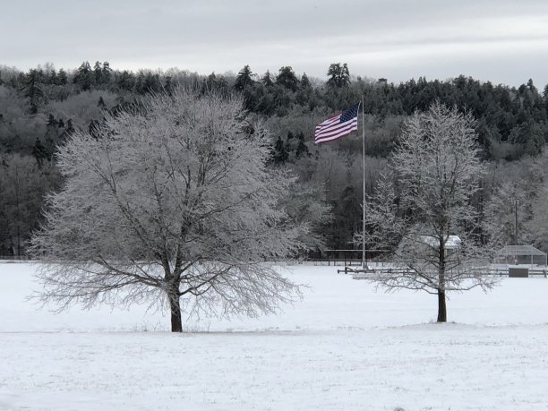 美国国旗在冰雪覆盖的树林中图片下载