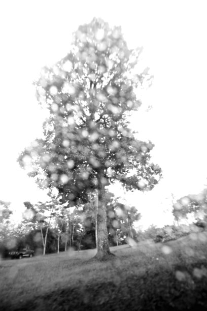 闷闷不乐图片下载