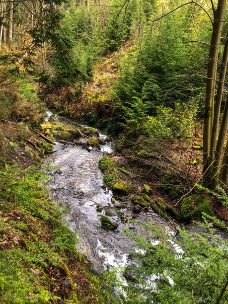 小溪在苏格兰图片下载