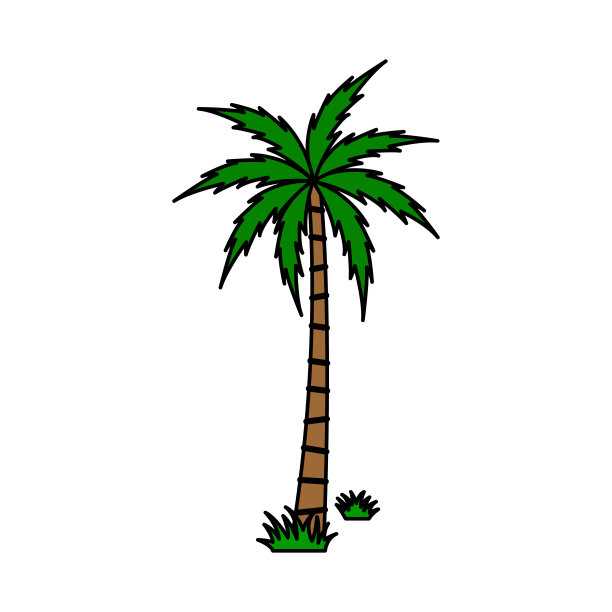 棕榈树向量集。图片下载