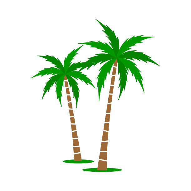 棕榈树向量集。图片下载