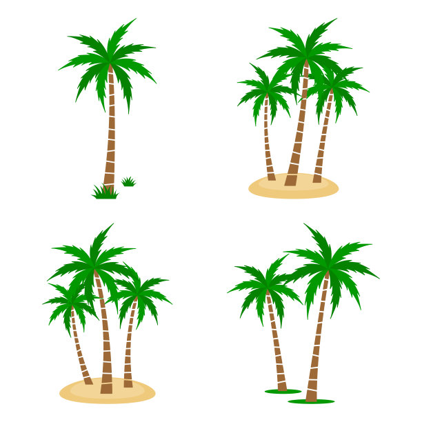 棕榈树向量集。图片下载
