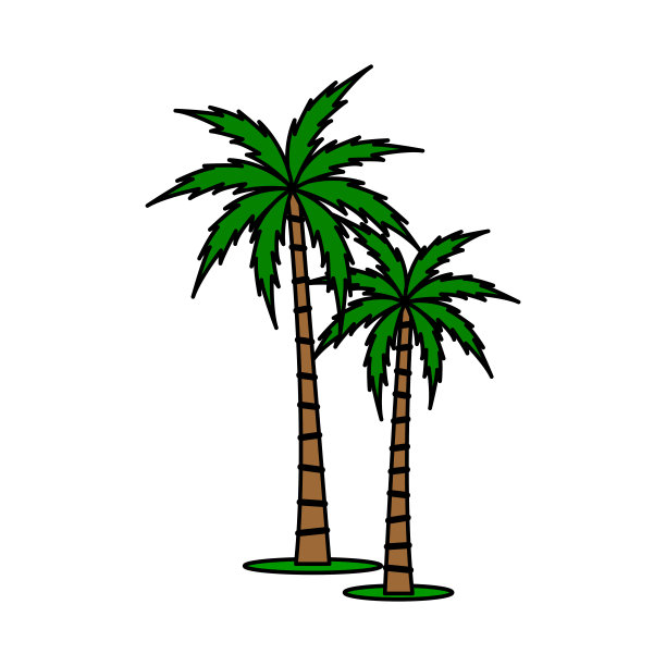 棕榈树向量集。图片下载