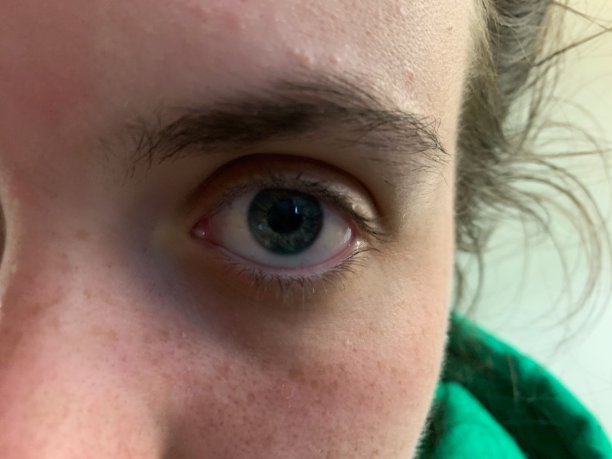 蓝绿眼睛面朝前方图片下载