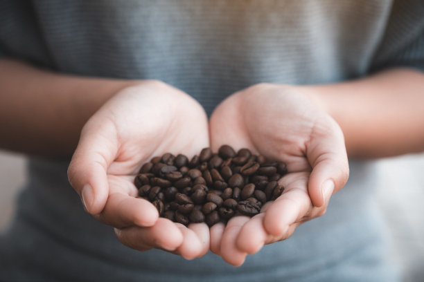 一个女人的手握着并展示着咖啡豆图片下载