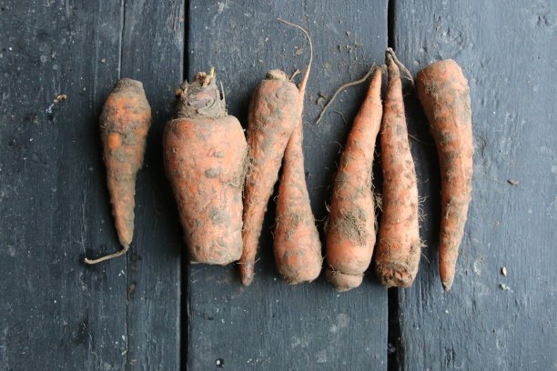 老古董桌上的胡萝卜，健康食物的主意图片下载