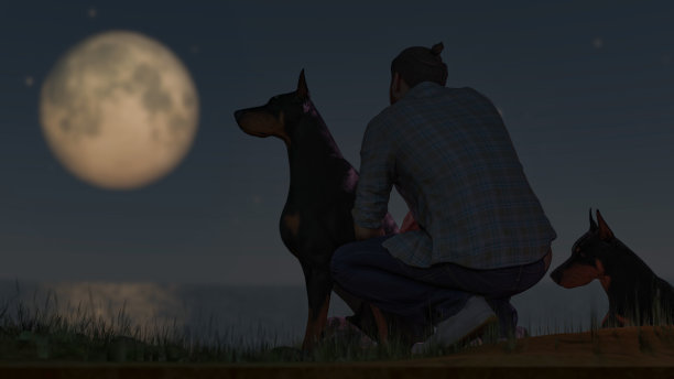 两只杜宾犬的主人在3d月光下欣赏风景图片下载