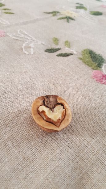 胡桃木图片下载