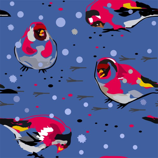 雪上的金翅雀图片下载