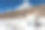 白马站在通往珠峰大本营的小路上，背景是普莫里山和卡拉帕塔山。图片下载
