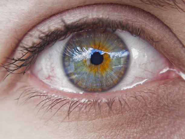 绿色的眼睛图片下载